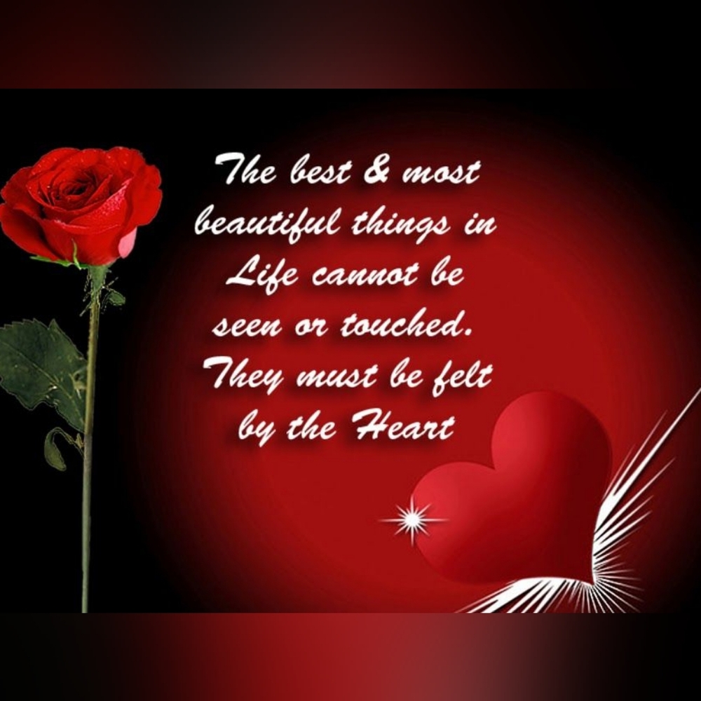 Meet your Poshers, Carolyn & Patricia